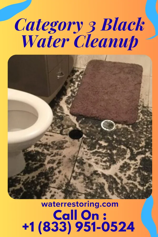 Category 3 Black Water Cleanup in Lewiston, NE