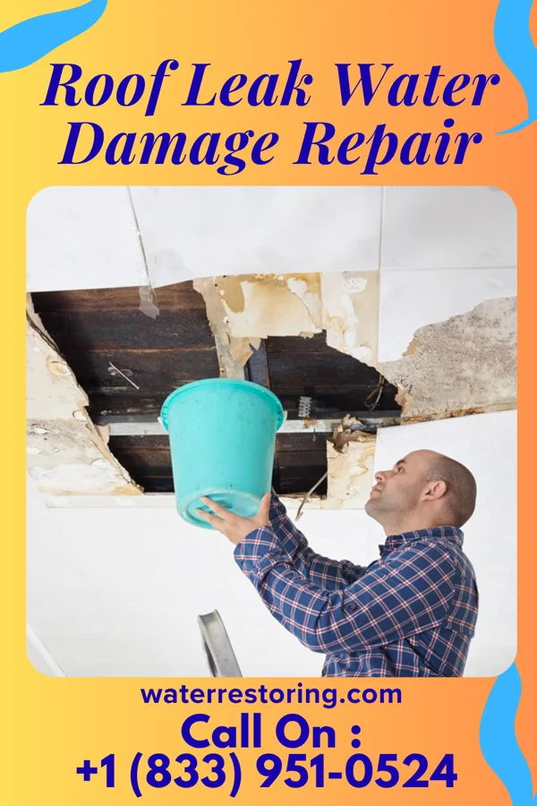 Roof Leak Water Damage Repair in Lewiston, NE