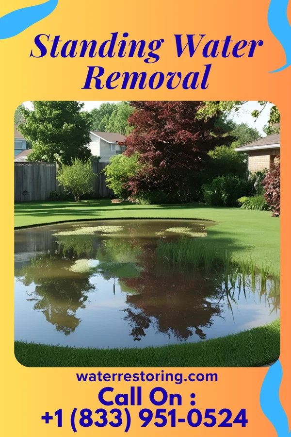 Standing Water Removal in Lewiston, NE